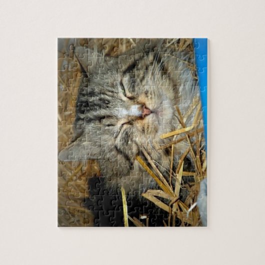 Cat Sleeping Kitty Foto Puzzle (Vertikal)