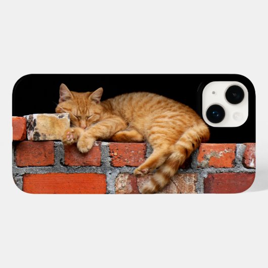 Cat Sleeping on Bridge Case-Mate iPhone Hülle (Rückseite (Horizontal))