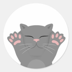 Cat Sleeping Runder Aufkleber
