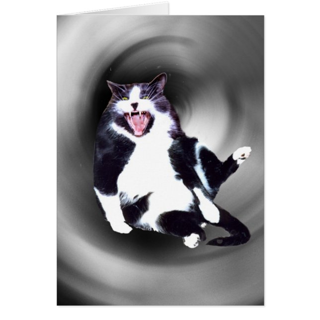 Cat Sliding Down on card (Vorne)