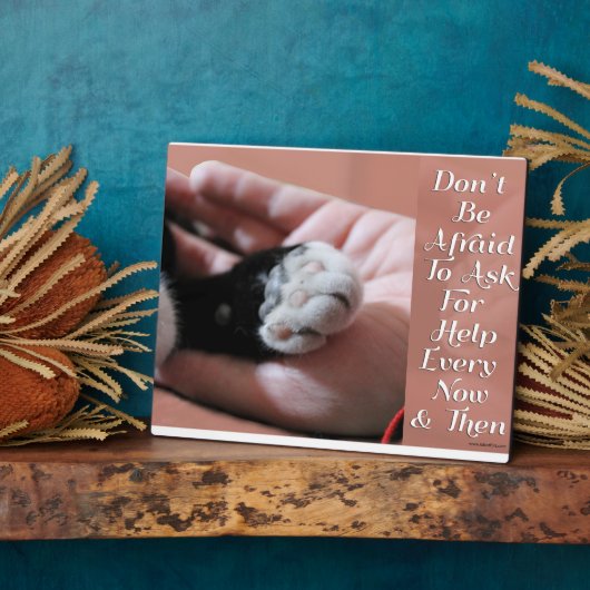 Cat-Slogan gefragt, um Hilfe zu fördern Fotoplatte (Seite)