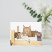 Cat slumber Party Postkarte (Stehend Vorderseite)