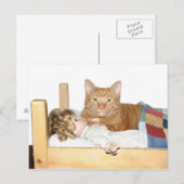 Cat slumber Party Postkarte (Vorne/Hinten)