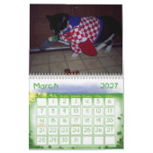 CAT-SPASS-KALENDER KALENDER (Mär 2027)