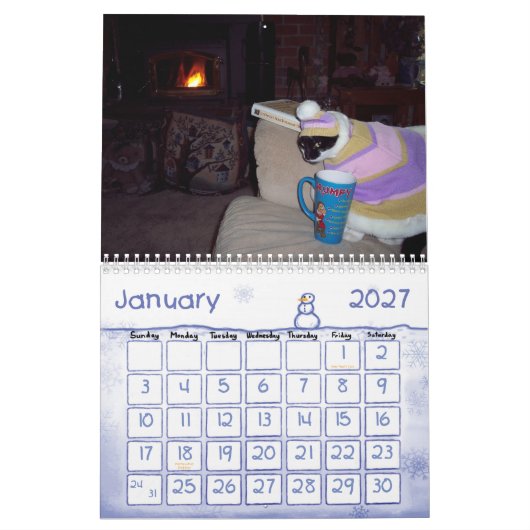 CAT-SPASS-KALENDER KALENDER (Jan 2027)