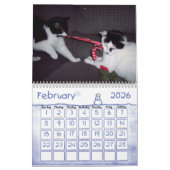 CAT-SPASS-KALENDER KALENDER (Feb 2026)