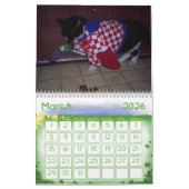 CAT-SPASS-KALENDER KALENDER (Mär 2026)