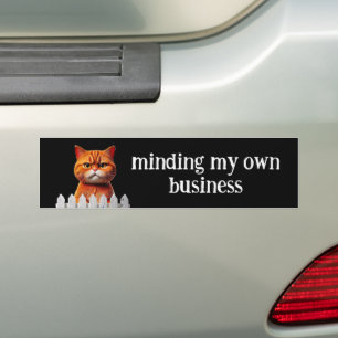 Cat Spaß - Making my own business Autoaufkleber