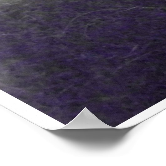 Cat Spaß Poster (Ecke)