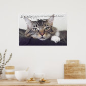 Cat Spaß Poster (Küche)