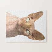 Cat Sphynx Portrait Puzzle (Horizontal)