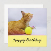 Cat spielt Tennisball Geburtstagskarte (Vorne/Hinten)