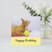 Cat spielt Tennisball Geburtstagskarte (Stehend Vorderseite)