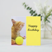Cat spielt Tennisball Geburtstagskarte (Stehend Vorderseite)