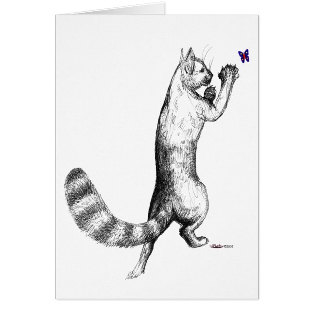 Cat Springing (Vorne)