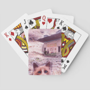 Cat Stare Classic Playing Cards Spielkarten