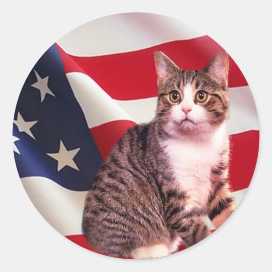 Cat Sticker All American (Vorderseite)