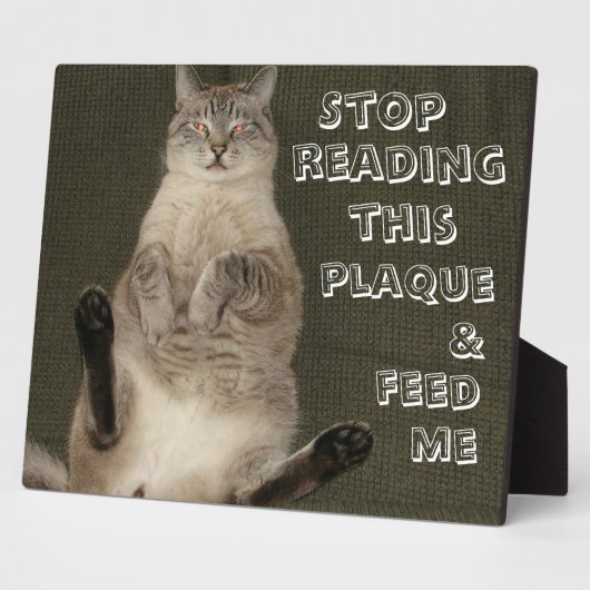 Cat "STOP LESE This PLAQUE & FÜTTRE ME" Plaque Fotoplatte (Seite)