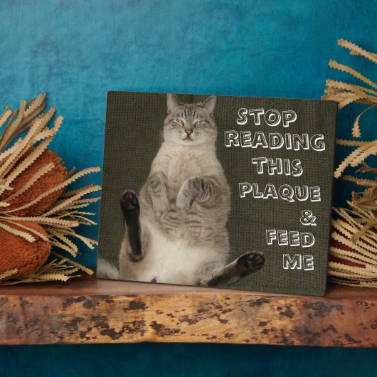 Cat "STOP LESE This PLAQUE & FÜTTRE ME" Plaque Fotoplatte (Seite)