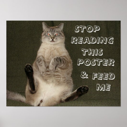 Cat "Stopp Reading This Poster & Füttre Me" Poster (Vorne)