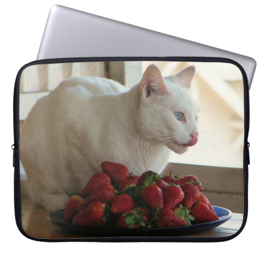 Cat & Strawberries Laptop-Sieb! Laptopschutzhülle (Vorderseite)