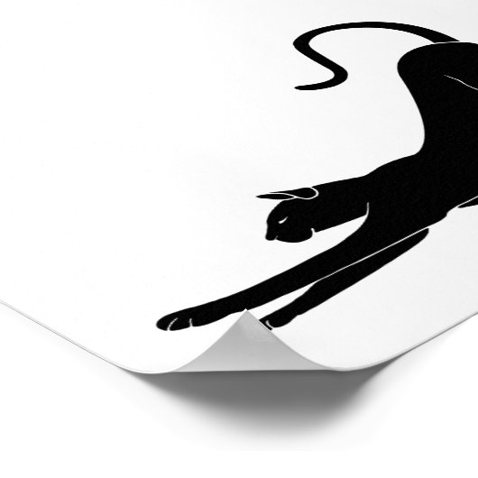 Cat Stretching Poster (Ecke)