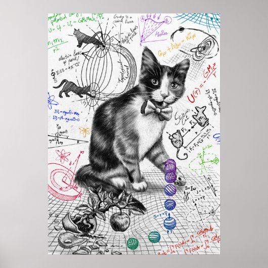 Cat Study Gravity W Poster (Vorne)