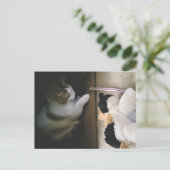 Cat Stuffy Playtime Postcard Feiertagspostkarte (Stehend Vorderseite)