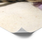 Cat Sunbathing at the Beach 2023 Calendar Poster (Ecke)