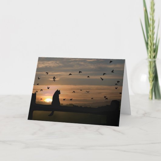 Cat Sympathy Card Karte (Vorderseite)