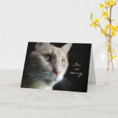 Cat Sympathy Card Karte (Gelbe Blume)