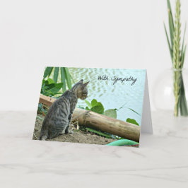 Cat Sympathy Card Karte