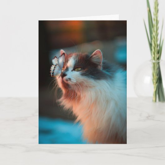 Cat Sympathy Card Karte (Vorderseite)
