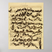 Cat Symphony, 1868, Moritz von Schwind Poster (Vorne)