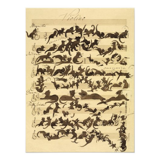 Cat Symphony von Moritz von Schwind Fotodruck (Vorne)