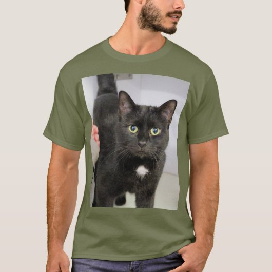 Cat T - Shirt (Vorderseite)