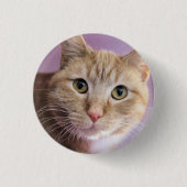 Cat T - Shirt Button (Vorderseite)
