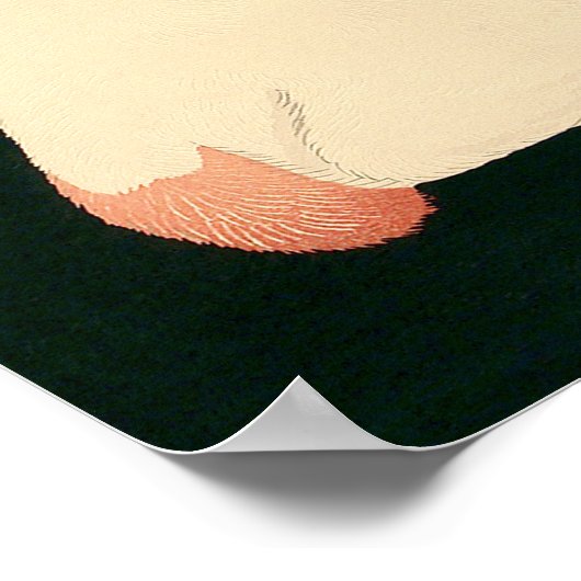 Cat Tama Poster (Ecke)