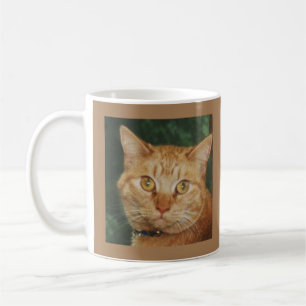Cat Tasse Essen Purr Liebe