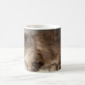 Cat-Tasse Kaffeetasse (Mittel)