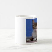 Cat-Tasse Kaffeetasse (Mittel)
