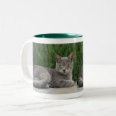 Cat-Tasse Zweifarbige Tasse (Vorderseite Links)