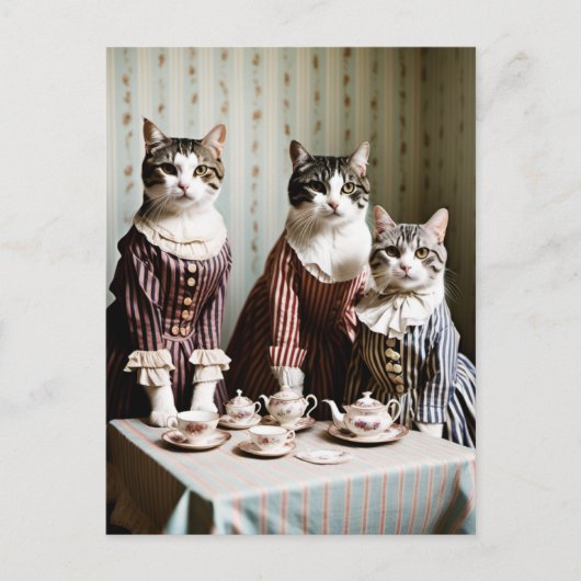 Cat Tea Party Postkarte (Vorderseite)