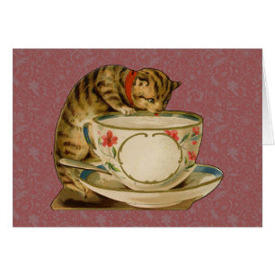 Cat Teacup Niedlich Vintag Viktorianisch