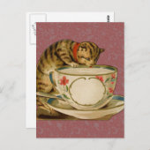 Cat Teacup Niedlich Vintag Viktorianisch Postkarte (Vorne/Hinten)