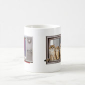 Cat Television Cat Lovers, Fernsehbeobachter Kaffeetasse (Mittel)