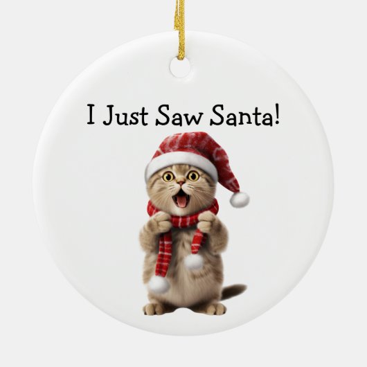 Cat Themed Christmas Cheer Cat Ornament (Hinten)