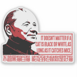 CAT THEORY AUFKLEBER