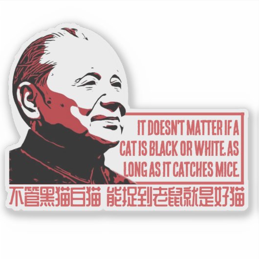 CAT THEORY AUFKLEBER (Vorderseite)