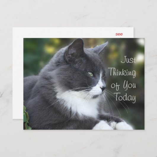 Cat Thinking Ihre Karte oder jede Gelegenheit (Vorne/Hinten)